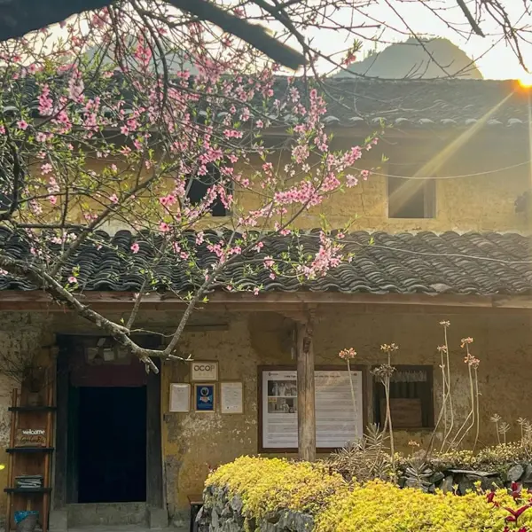 5 ngôi làng du lịch cộng đồng tại Việt Nam được vinh danh “Tốt nhất thế giới”