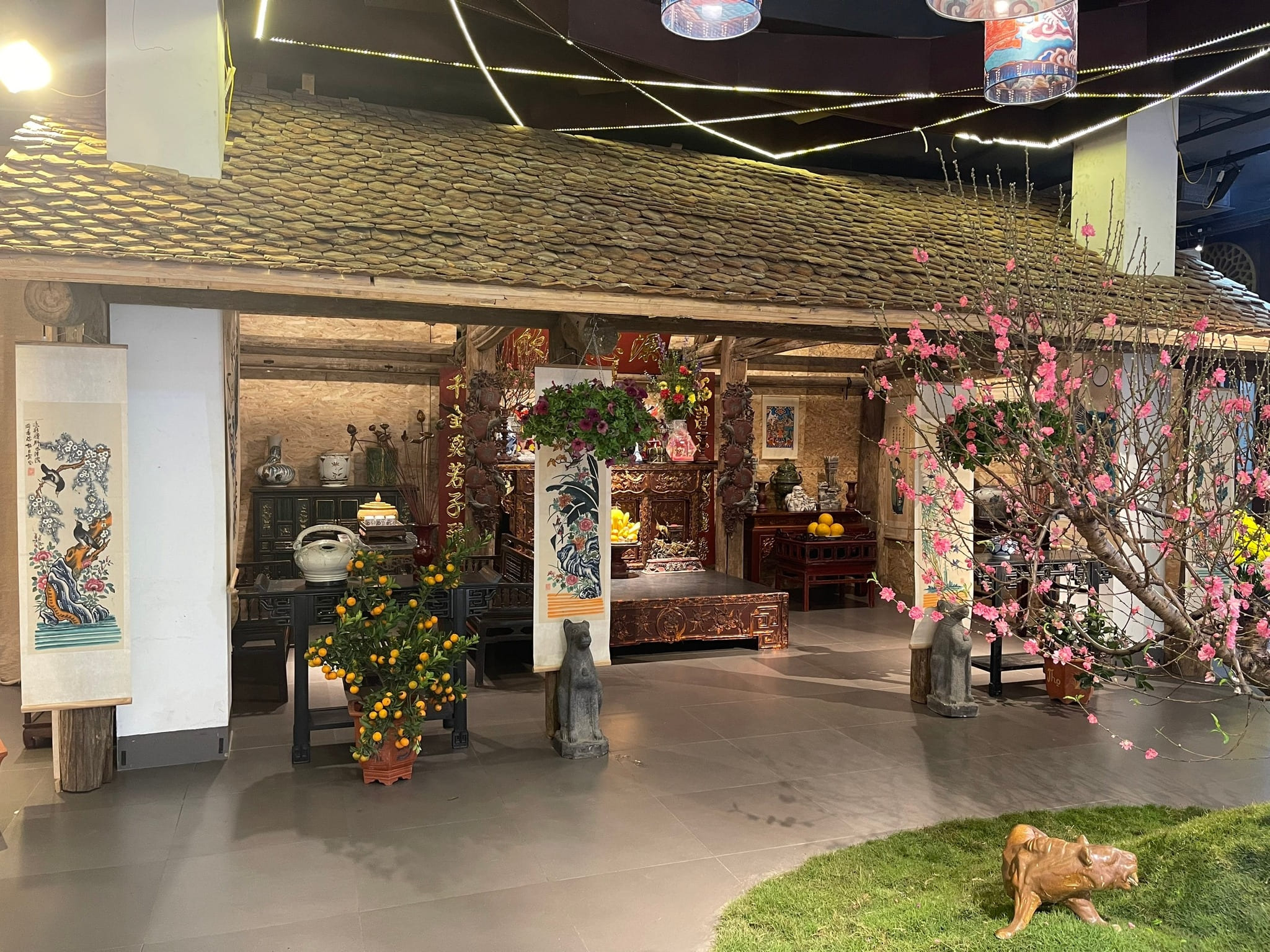 Chào xuân Bính Ngọ 2026