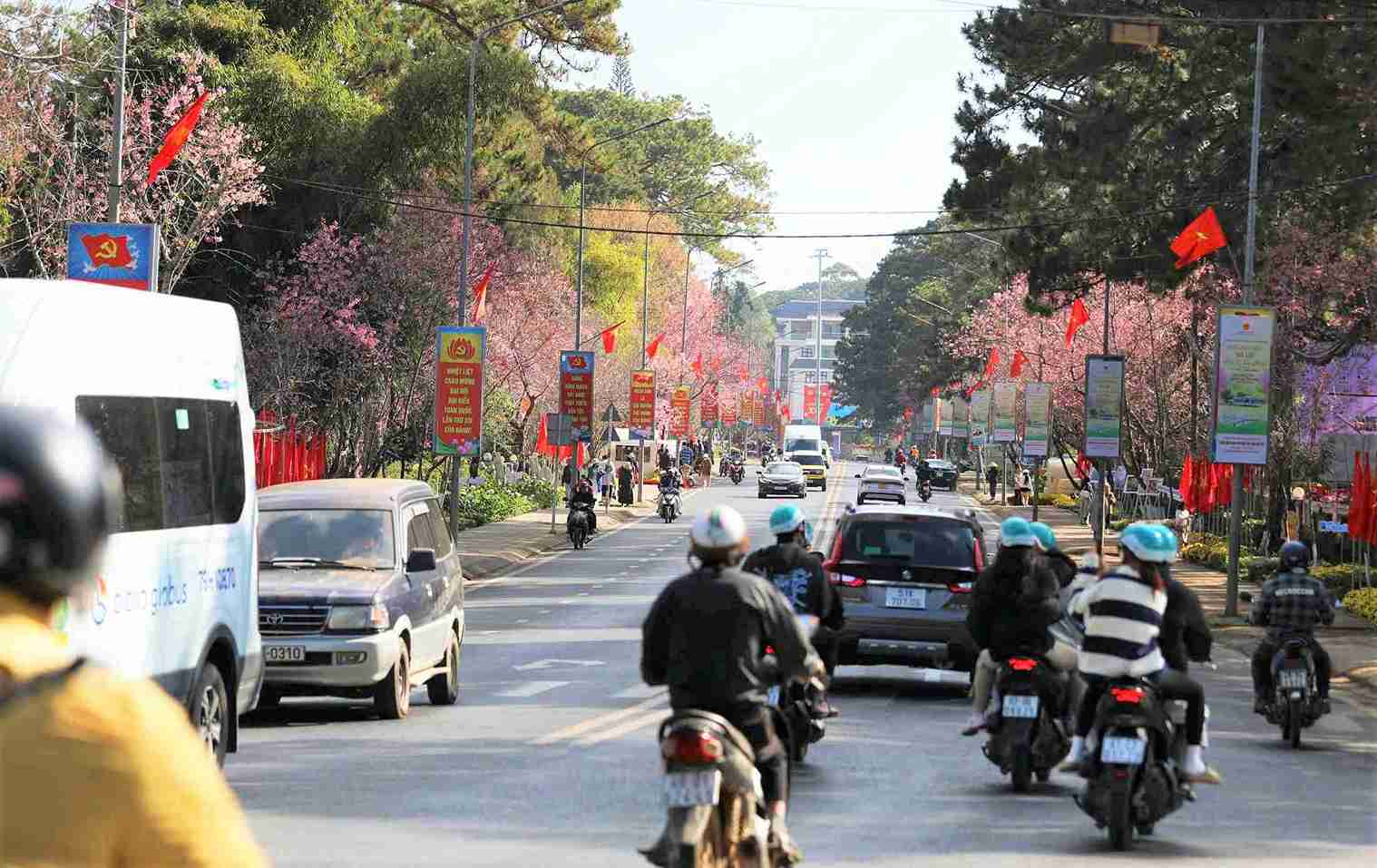 Nhịp sống bình yên tại Đà Lạt