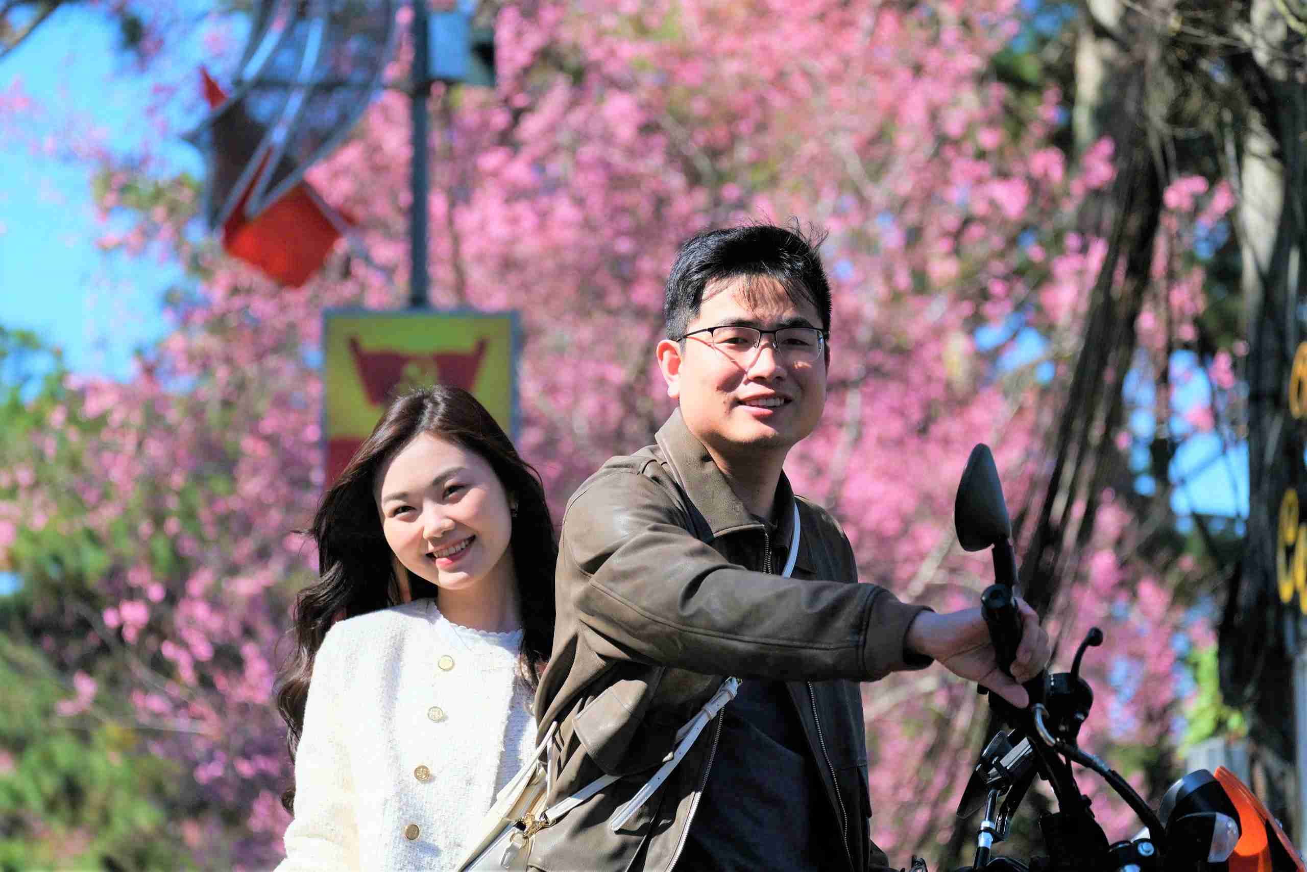 Đôi bạn trẻ check in bên tán mai anh đào