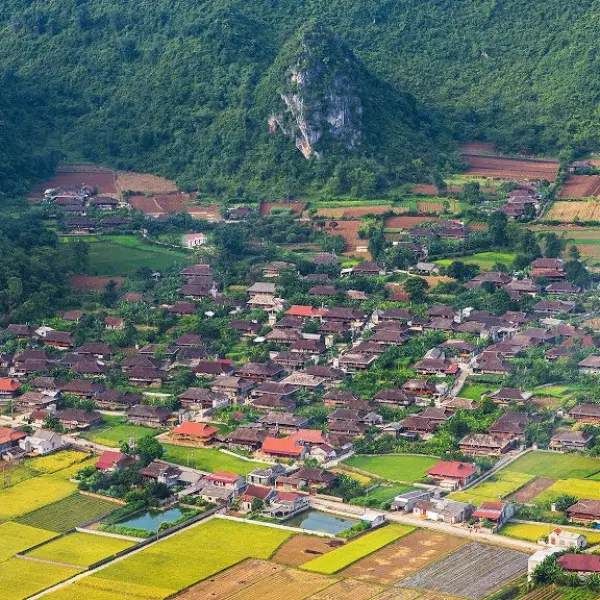 Kinh nghiệm khám phá làng du lịch văn hóa Quỳnh Sơn chi tiết cho du khách