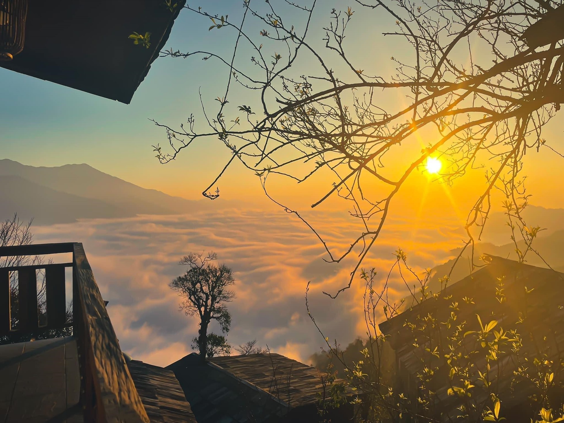 Du lịch Tà Xùa tháng 11