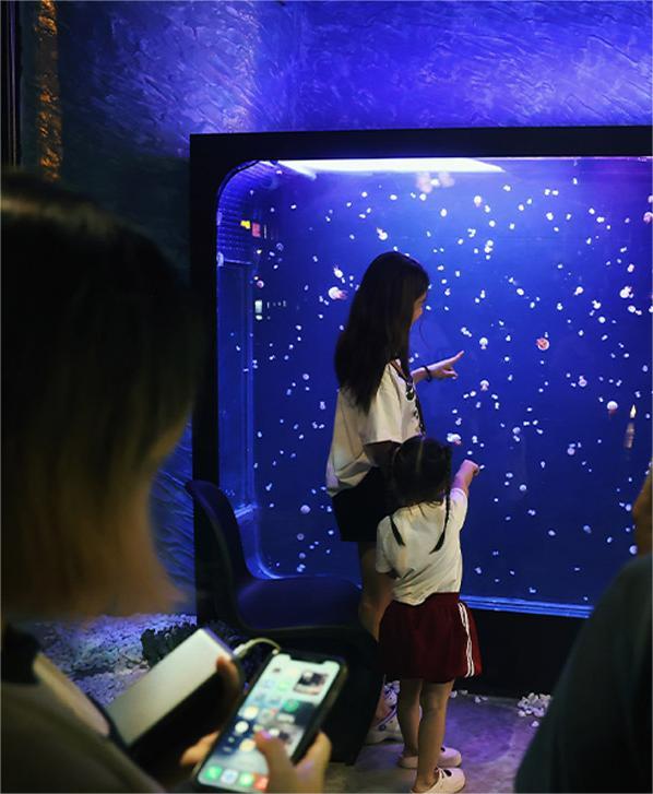 Các bạn nhỏ được gia đình dẫn tới quán cà phê để chiêm ngưỡng sứa