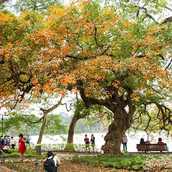 Hà Nội lọt top thành phố thân thiện nhất thế giới - Gợi ý những địa điểm du lịch tại Hà Nội