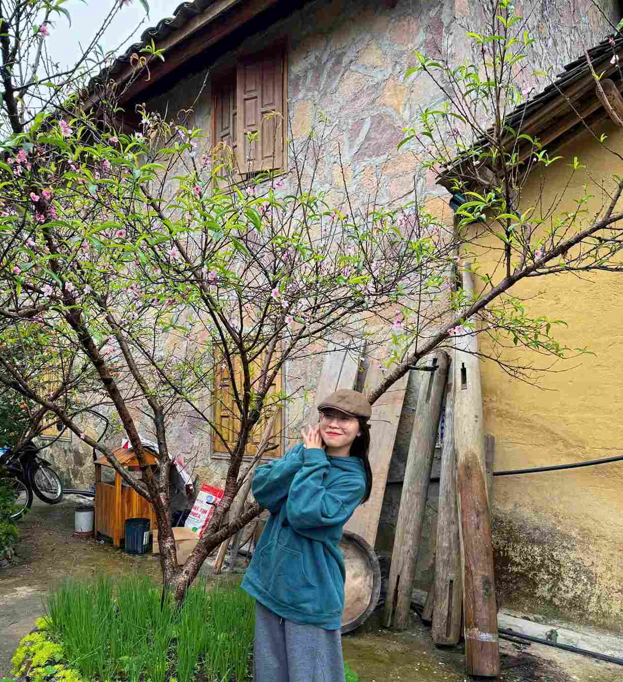 Du khách check in với hoa đào nở sớm