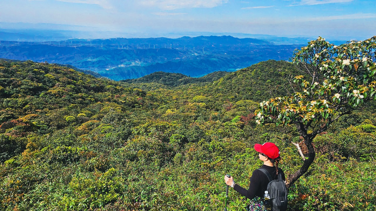 Tour trekking độc quyền dành cho du khách