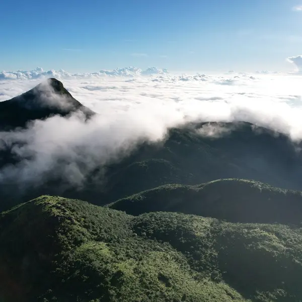 Tour trekking chiêm ngưỡng "biển mây" tại "nóc nhà" của Quảng Trị