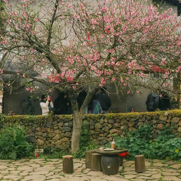 Kinh nghiệm khám phá làng Lô Lô Chải - Ngôi làng du lịch tốt nhất thế giới 2025