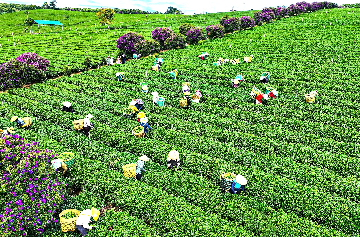 Khung cảnh vùng đất Bảo Lâm từ trên cao nhìn xuống