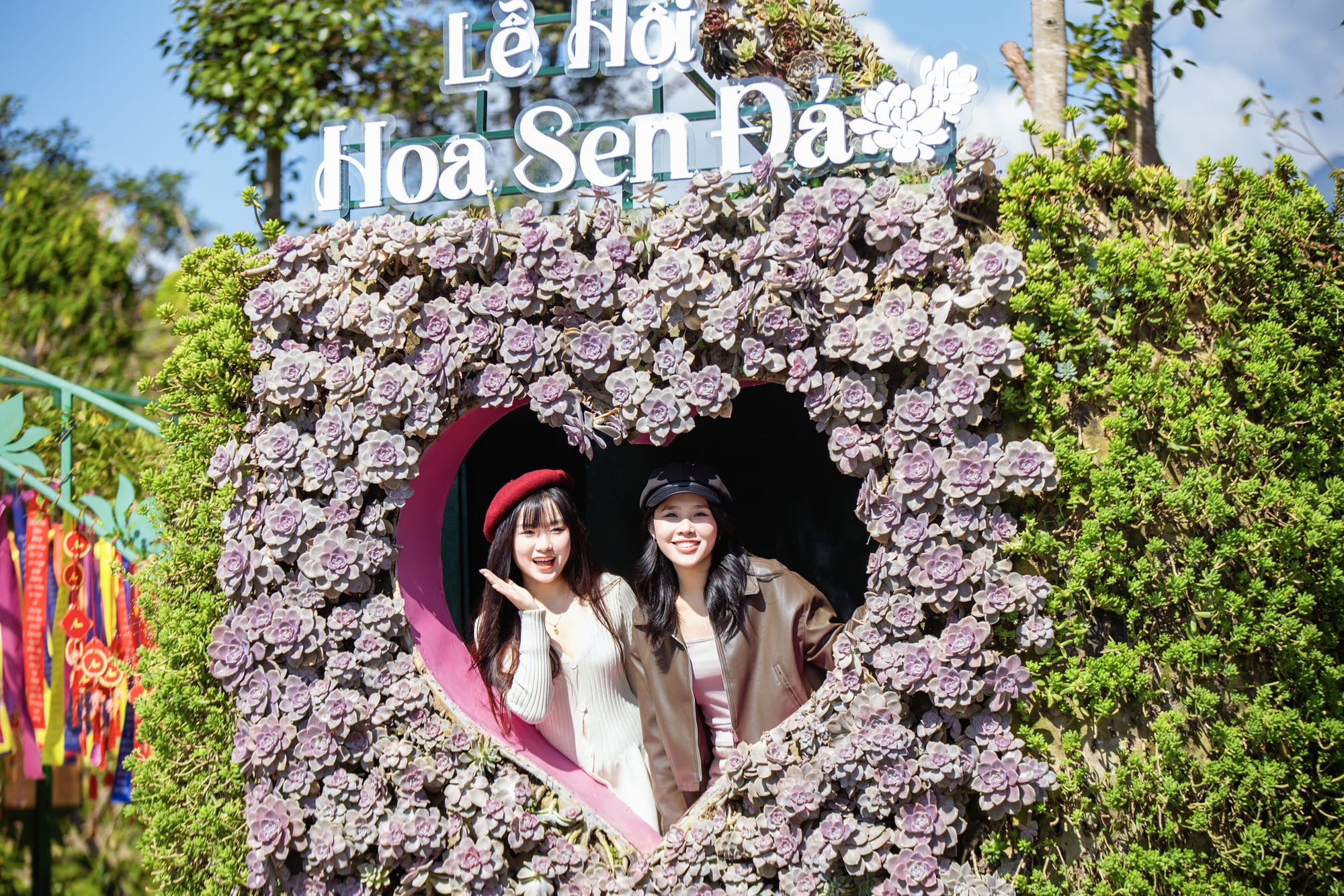 Lễ hội hoa sen đá 2025