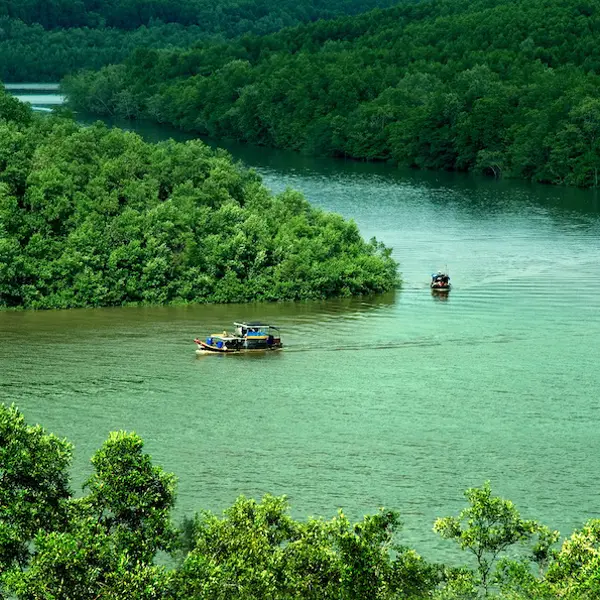 Kinh nghiệm khám phá và du lịch Cần Giờ - “Lá phổi xanh” 35.000ha cạnh TP. HCM