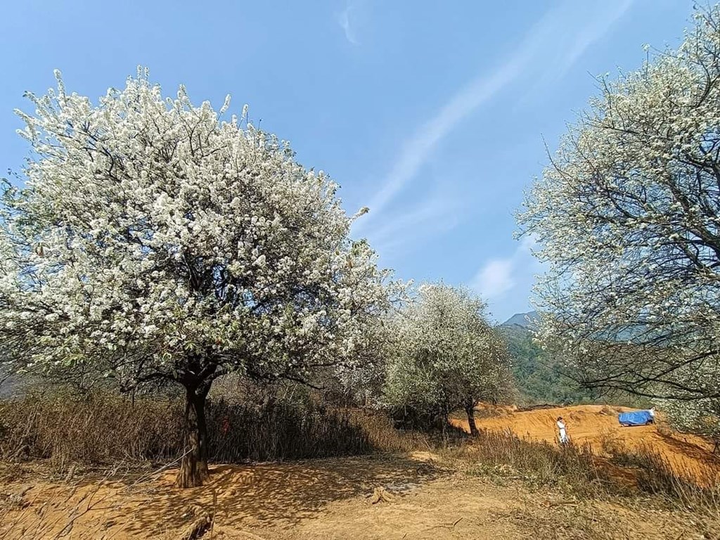 Đường đến Nậm Nghiệp 