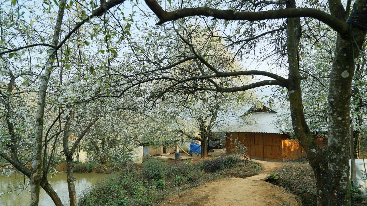 Homestay tại Nậm Nghiệp