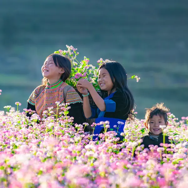 Các hoạt động hấp dẫn diễn ra tại Lễ hội hoa tam giác mạch 2025 sắp tới