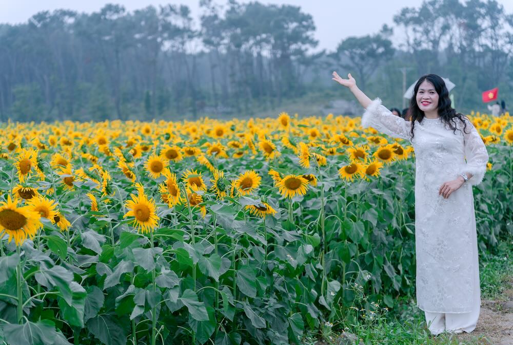 Du khách hào hứng check in bên vườn hoa hướng dương