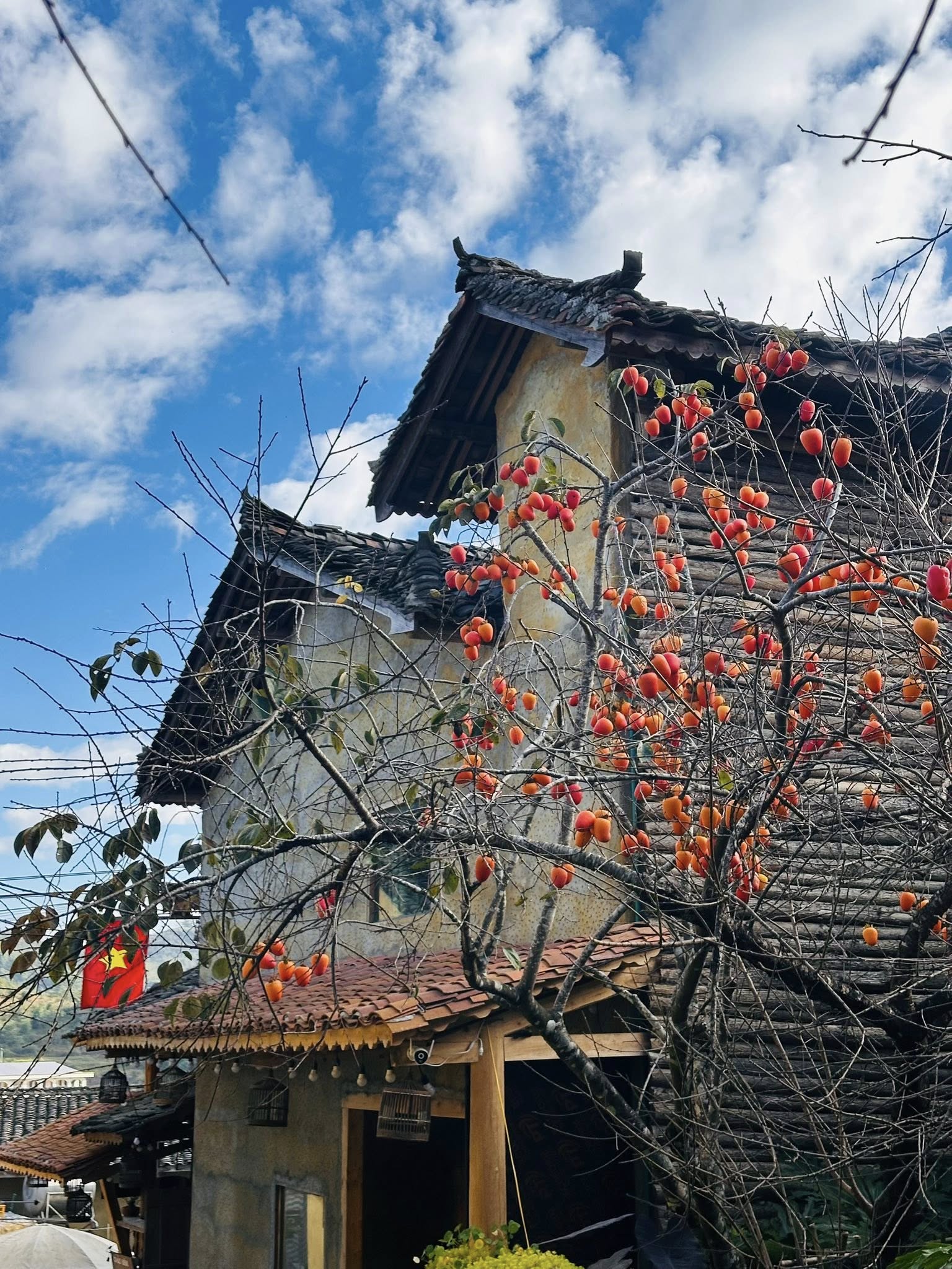 Vẻ đẹp mộc mạc tại Lô Lô Chải