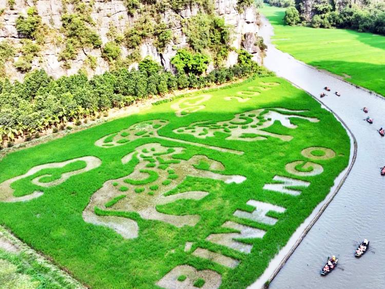 Song mã chầu báo