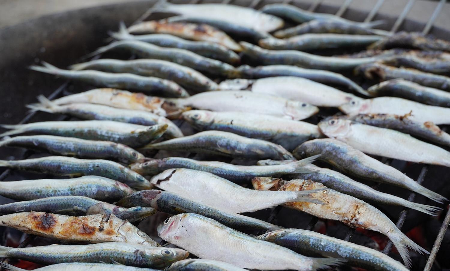 Cá trích nướng tươi rói