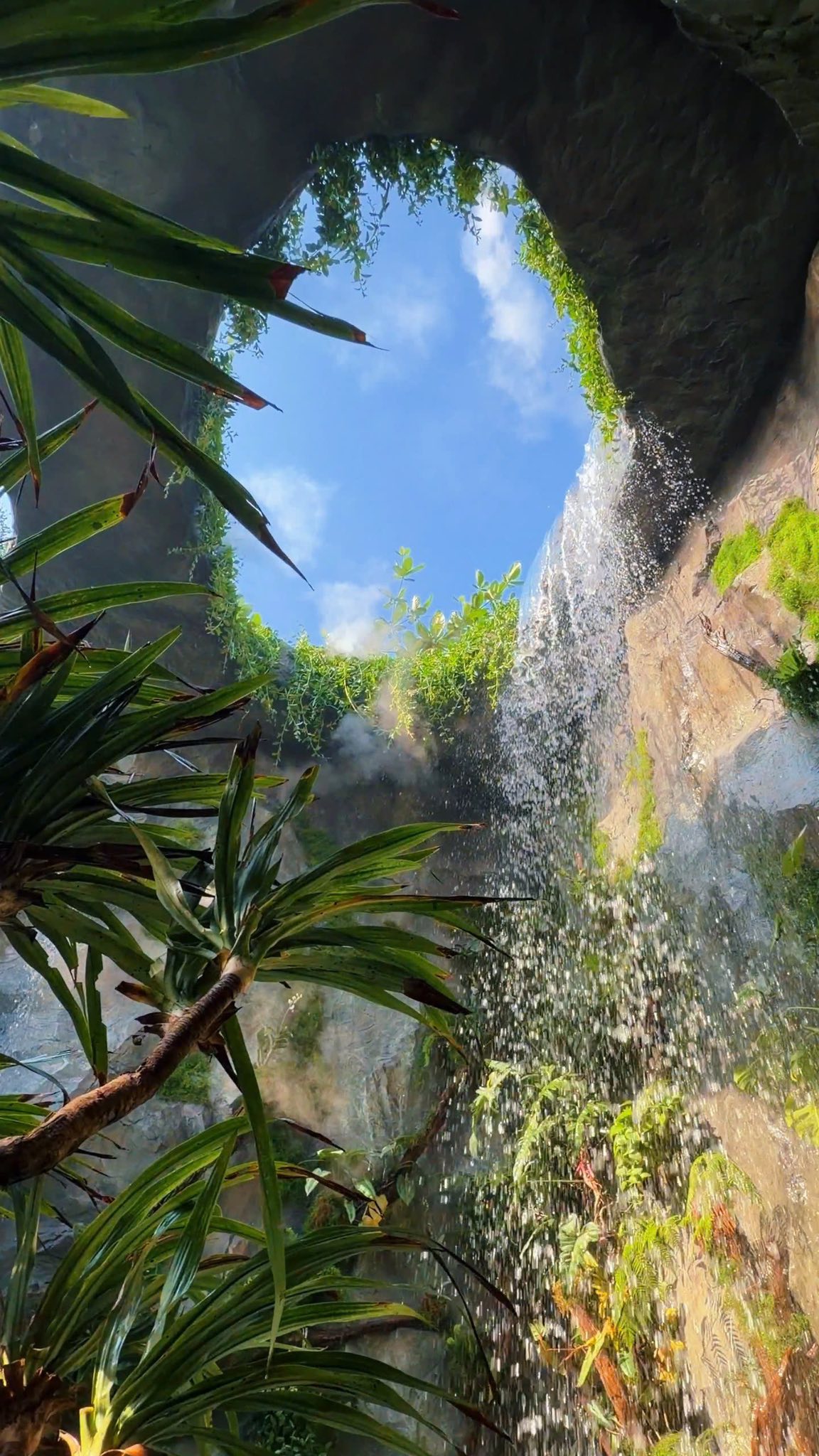 Thác nước nhân tạo tại quán cà phê