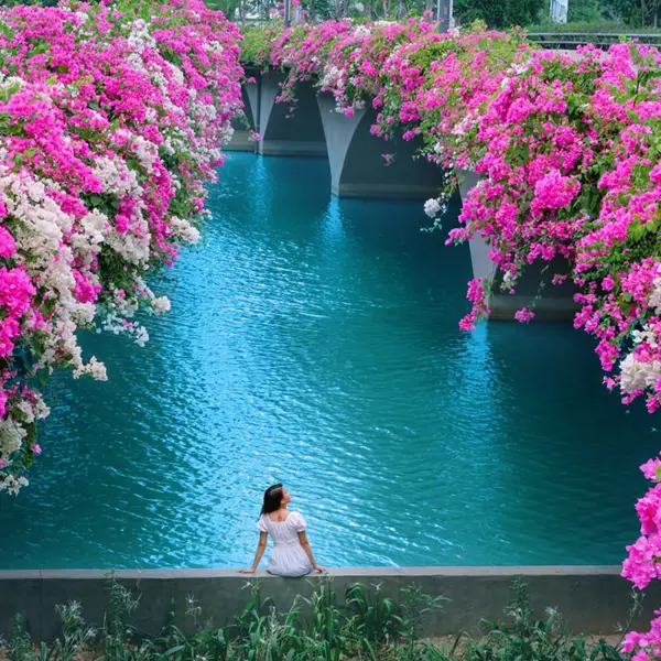 Cầu hoa giấy tại Ecopark Hưng Yên - Địa điểm check in đẹp như trong truyện cổ tích