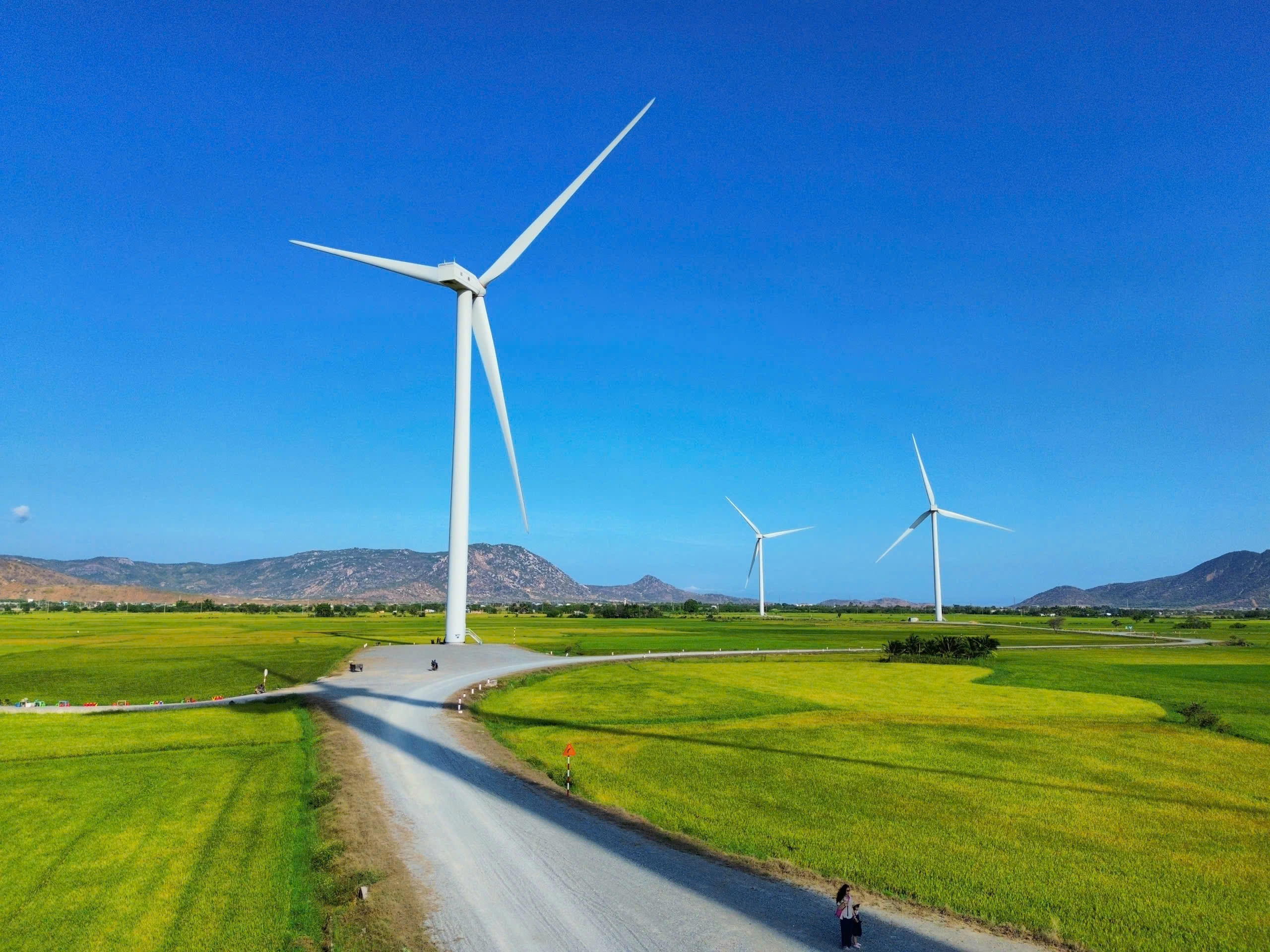 cánh đồng điện gió Khánh Hòa
