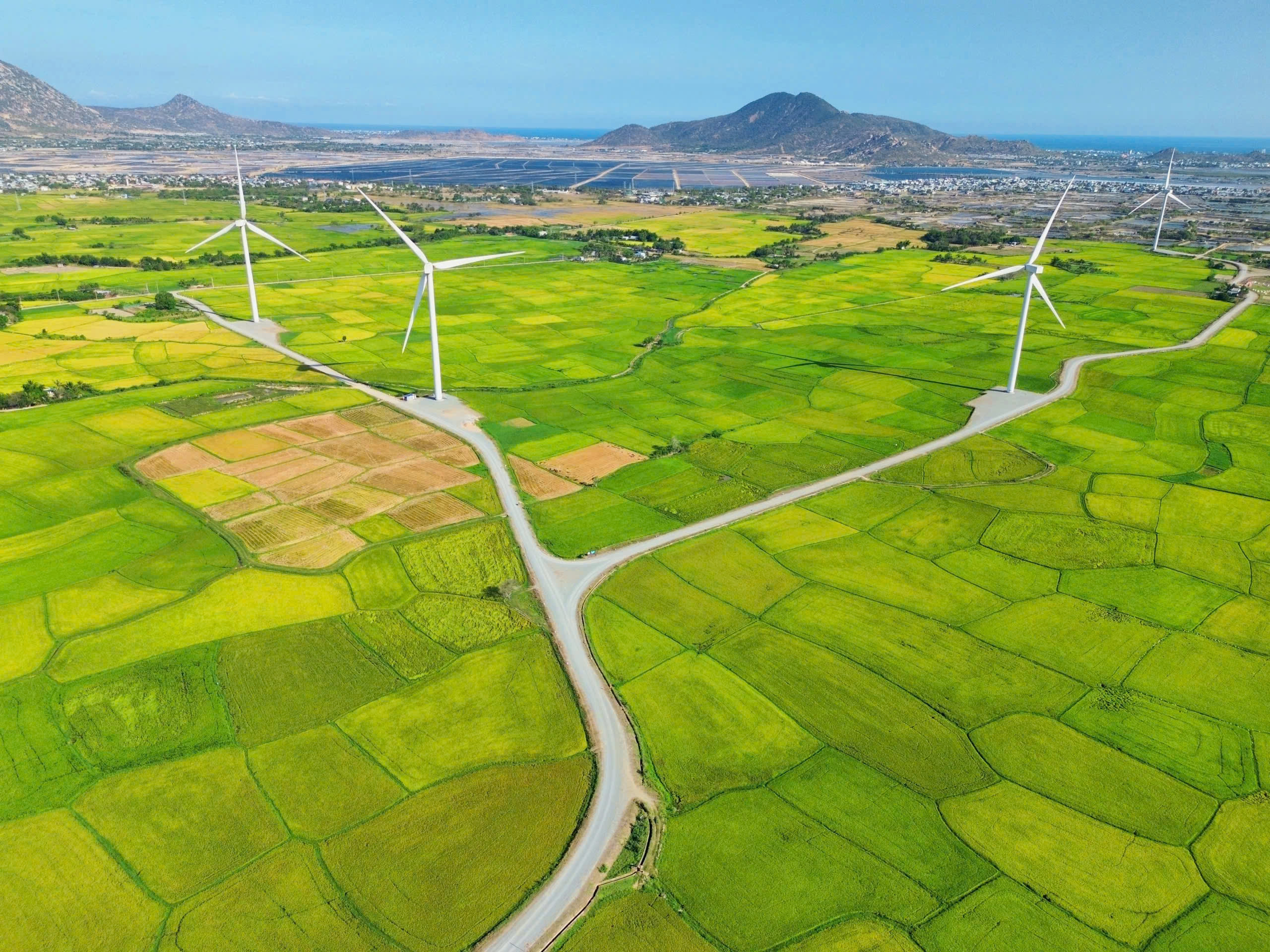 Cánh đồng điện gió Đầm Nại