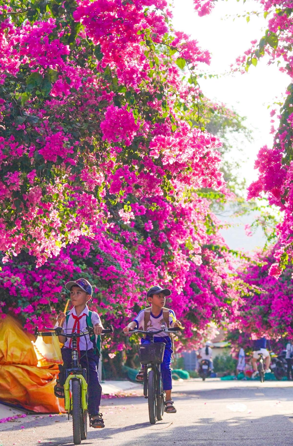 Khung cảnh nên thơ của làng chài Vĩnh Tường