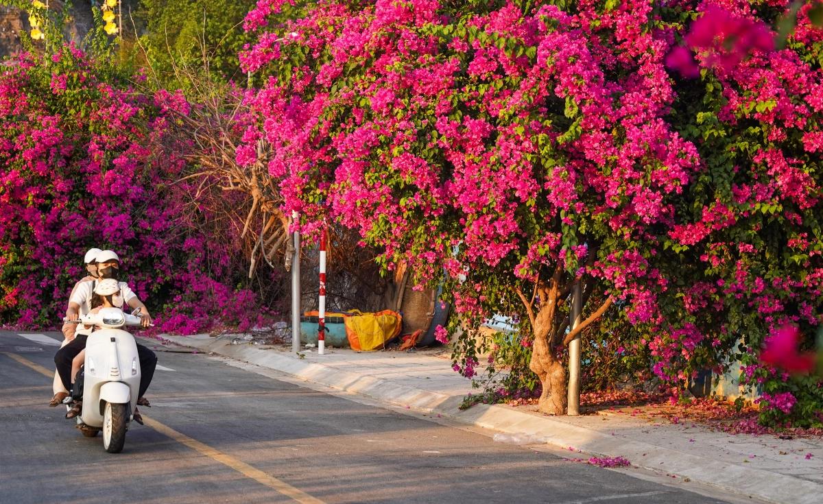 làng chài Vĩnh Tường