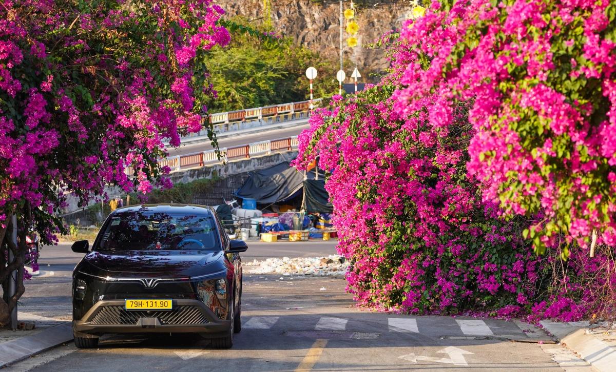 Cuối góc phố với chùm hoa hồng rực