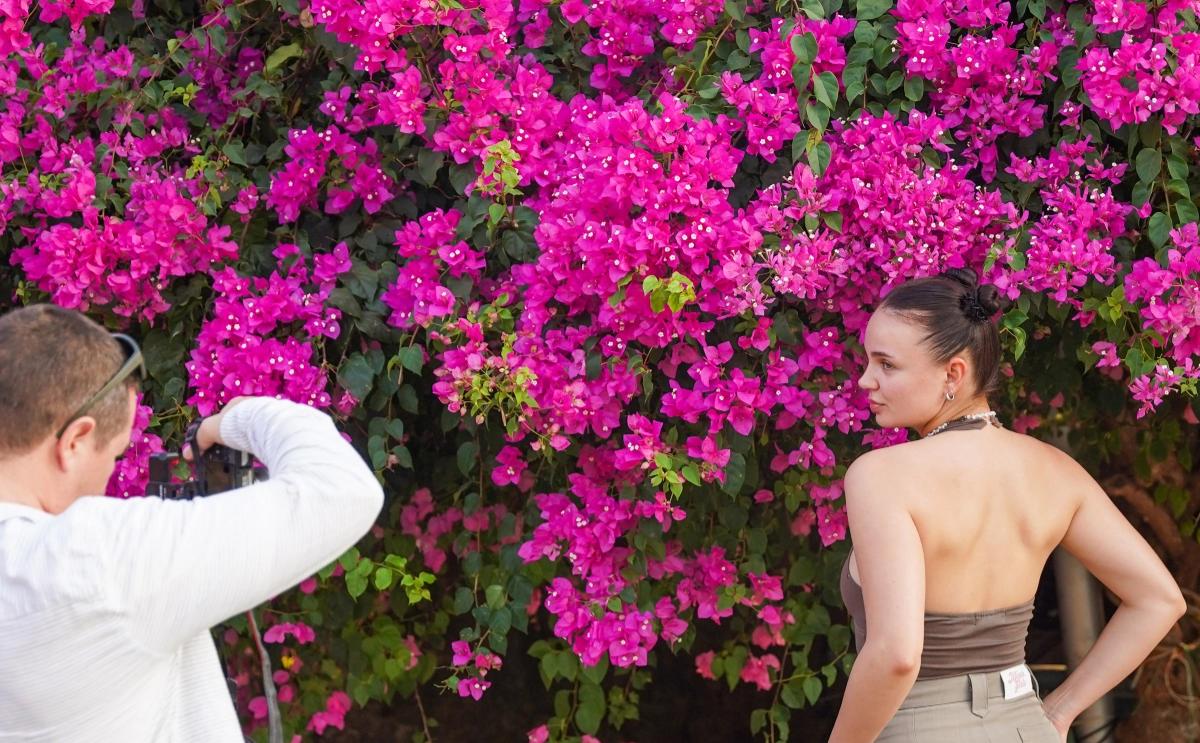 Du khách nước ngoài check-in bên cây hoa giấy