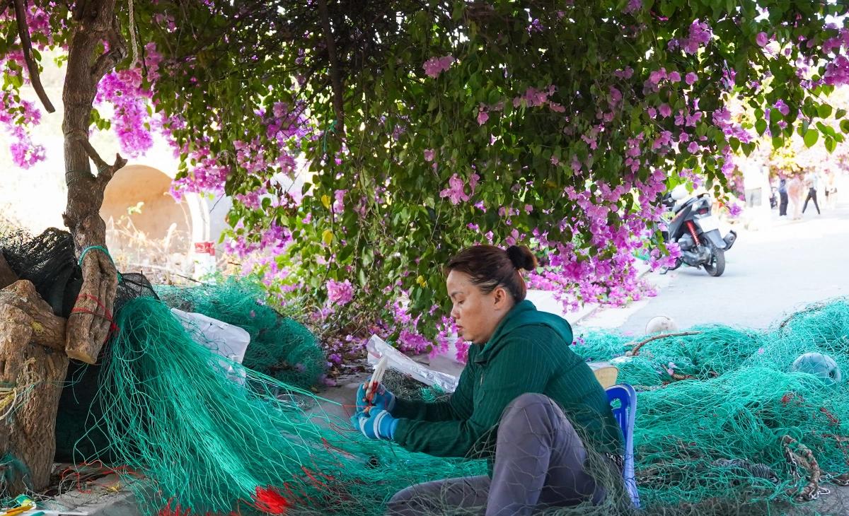 Người dân đan lưới dưới bóng cây hoa giấy