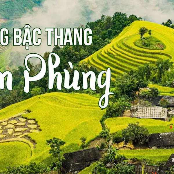 Lên bản Phùng (Hà Giang cũ) ngắm ruộng lúa bậc thang trải dài tít tắp
