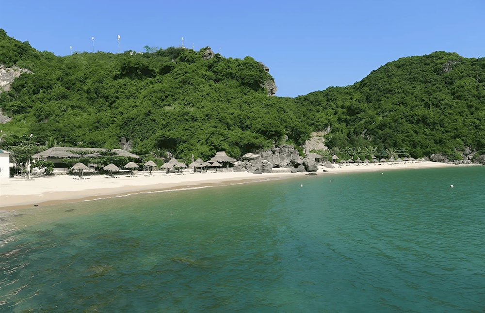 Bãi biển Tùng Thu