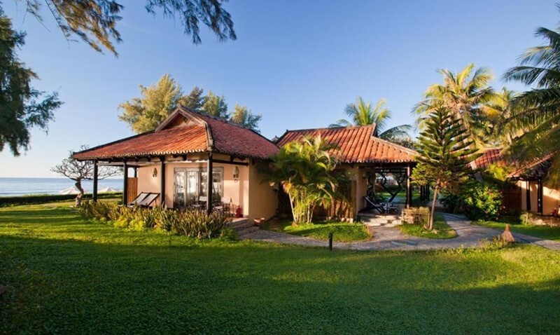 Seahorse resort