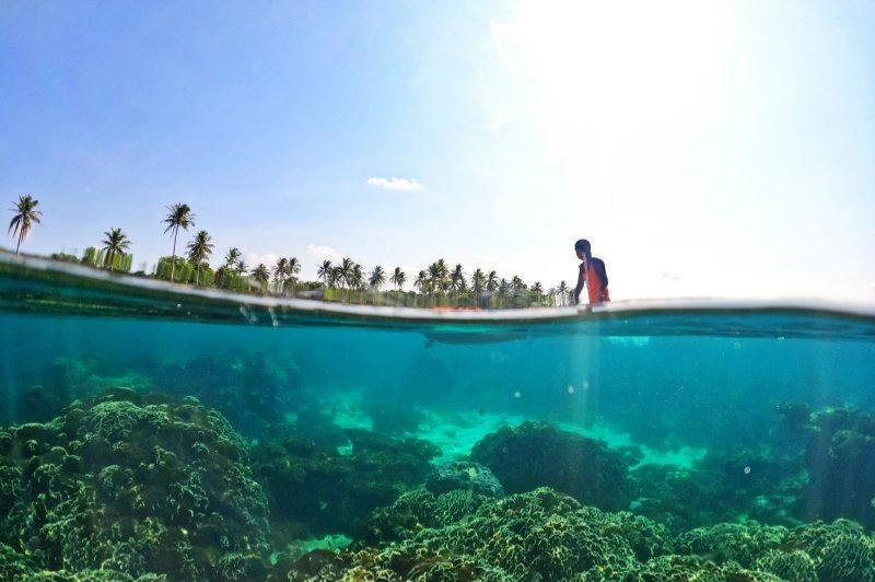 Tour chèo kayak