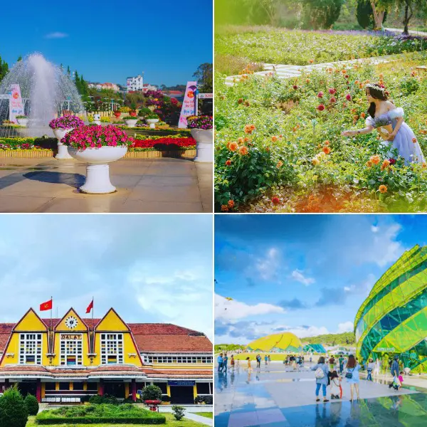 Khám phá lịch trình Đà Lạt 3 ngày 2 đêm - Tận hưởng trọn vẹn từng phút giây tại xứ ngàn hoa