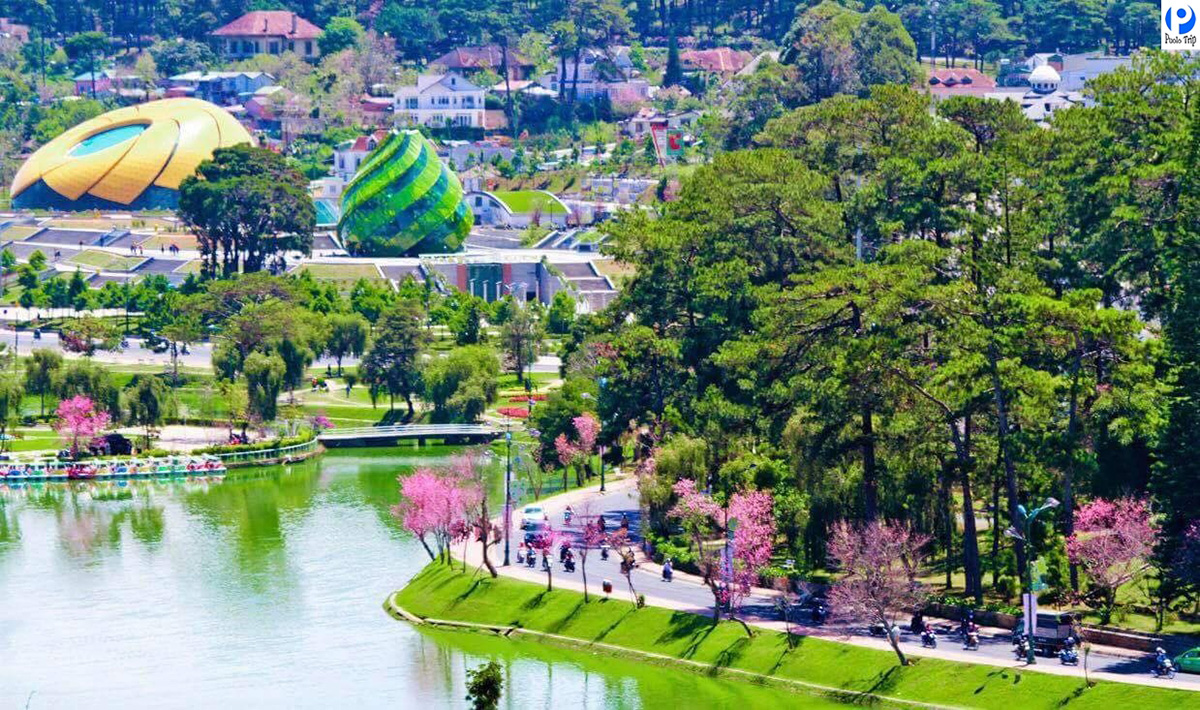 Đặt vé máy bay đi Đà Lạt dễ dàng ngay trên ứng dụng GoStay