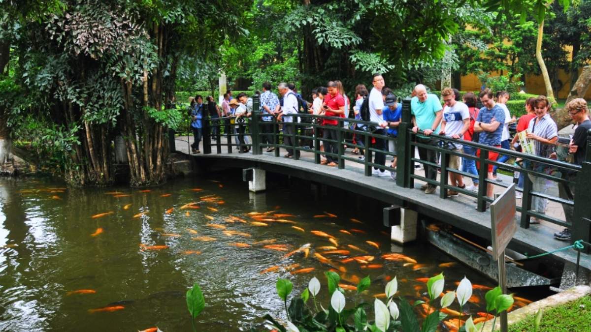 Ao cá Bác Hồ