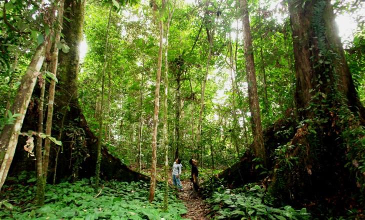 Trekking núi Voi Đà Lạt