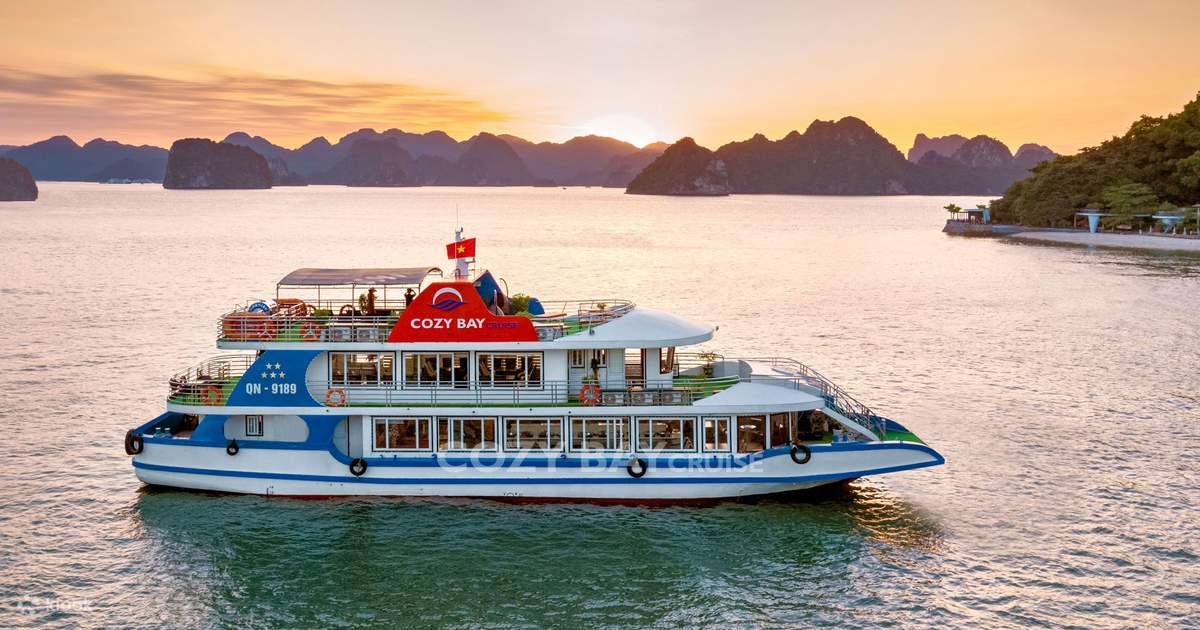Cozy Bay Cruises