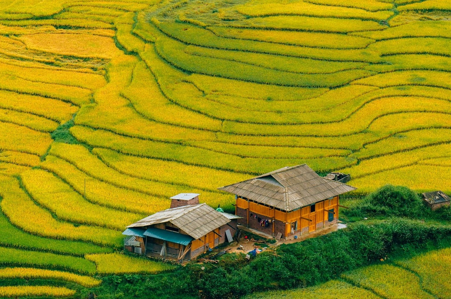 Ruộng bậc thang Sapa