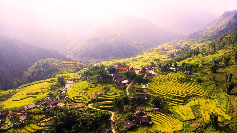 Ruộng bậc thang tại thung lũng Mường Hoa