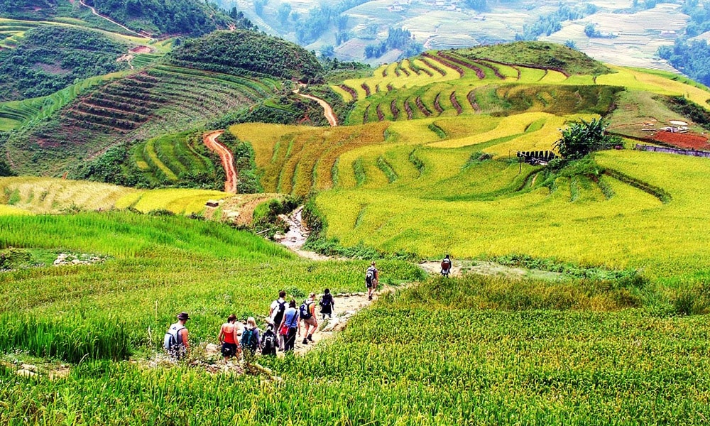 Trekking qua thung lũng Mường Hoa