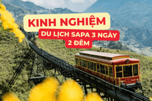 Lịch trình Sapa 3 ngày 2 đêm khám phá trọn vẹn từ thung lũng Mường Hoa đến đỉnh Fansipan