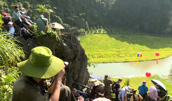Tour du lịch chụp ảnh Mùa Vàng Tam Cốc