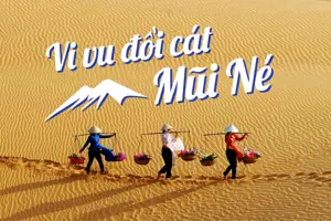 Phân biệt đồi cát trắng và đồi cát đỏ tại Mũi Né cho du khách - Hướng dẫn khám phá chi tiết