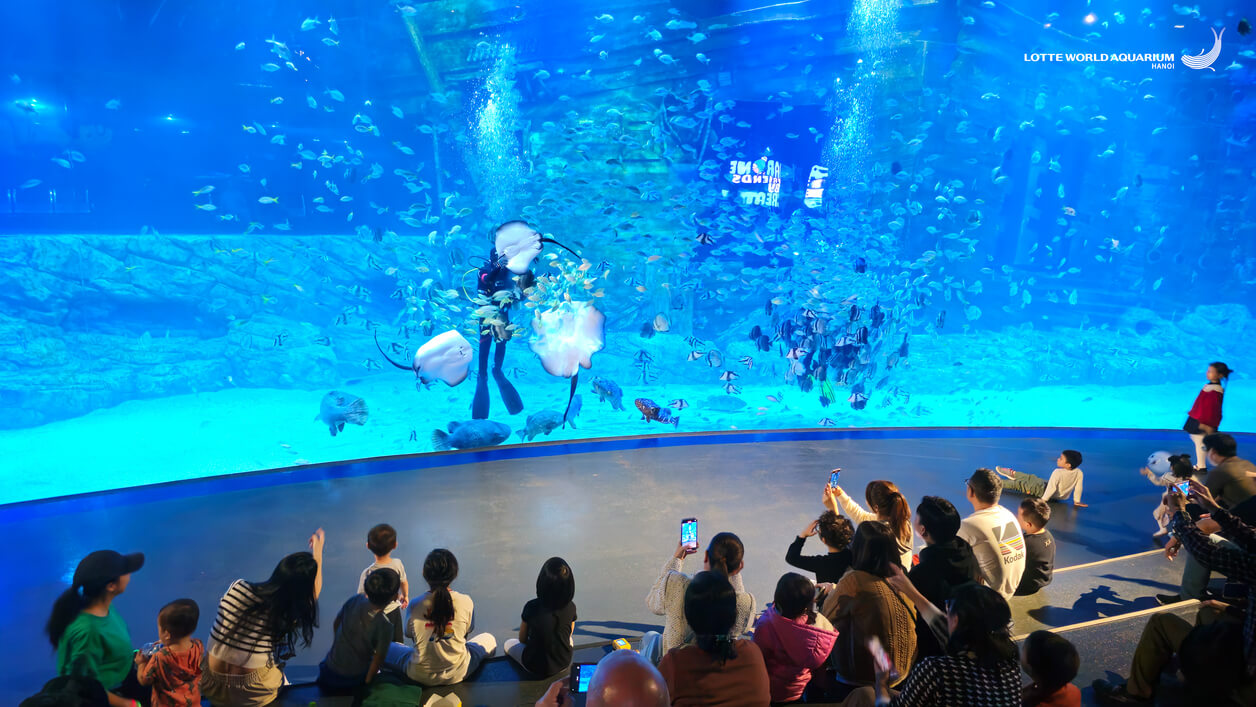 Thủy cung Lotte World Aquarium Hanoi