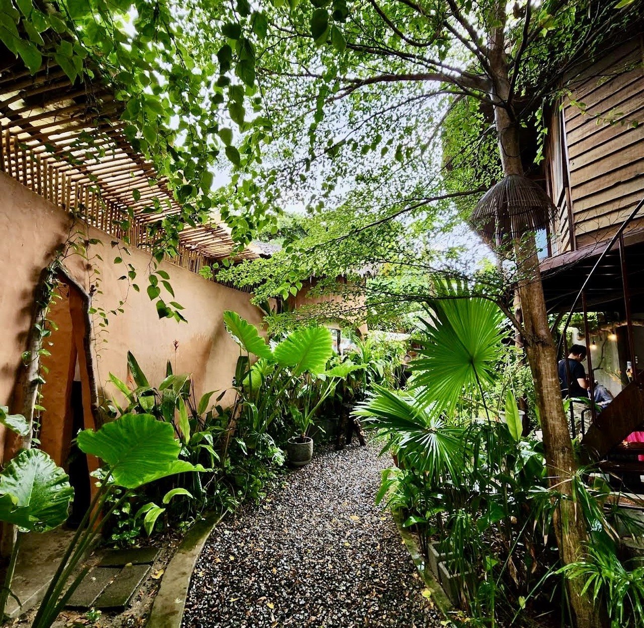 Khoảng xanh tại Mơ Hoang Cafe