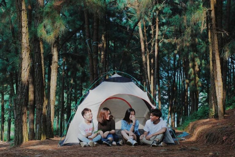 Không gian camping lãng mạn dưới rừng thông Hàm Lợn
