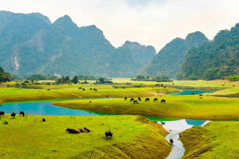 Thảo nguyên Đồng Lâm (Lạng Sơn)